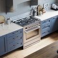 36 Inch Gas Range RRG361TS